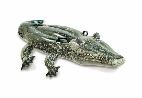 Alligator Pool Floats | Intex Realistic Gator Ride-On Pool Floatie for Kids - Inflatables Canada Recreational Products