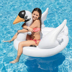 Swan Pool Floats | Intex Floaties For Water - Inflatables Canada Recreational Products
