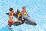 Whale Swimming Pool Float – Blow Up Kids Pool Floatie - Intex Whale Ride On - Inflatables Canada Recreational Products